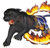 The XL panther